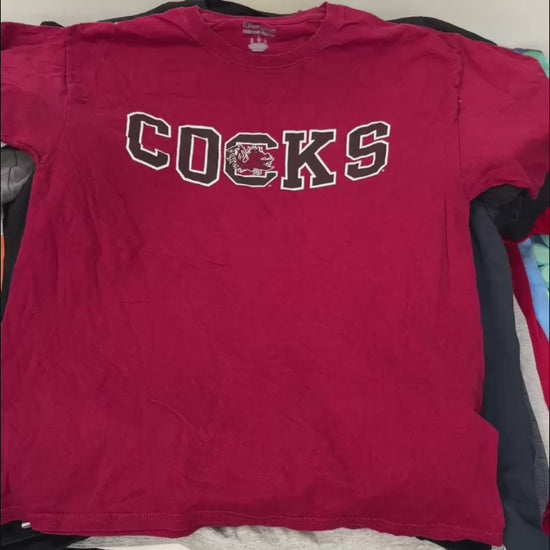 Vintage & Second Hand Branded T-Shirts Wholesale Bulk 25kg Bag Video example of what you might receive