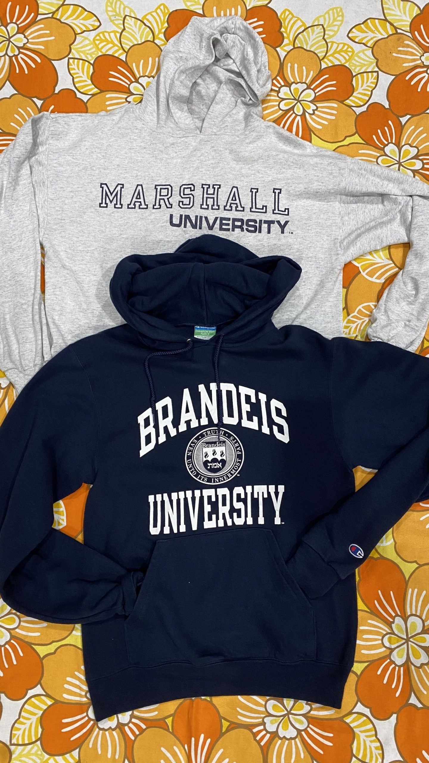 Champion hoodie bulk outlet